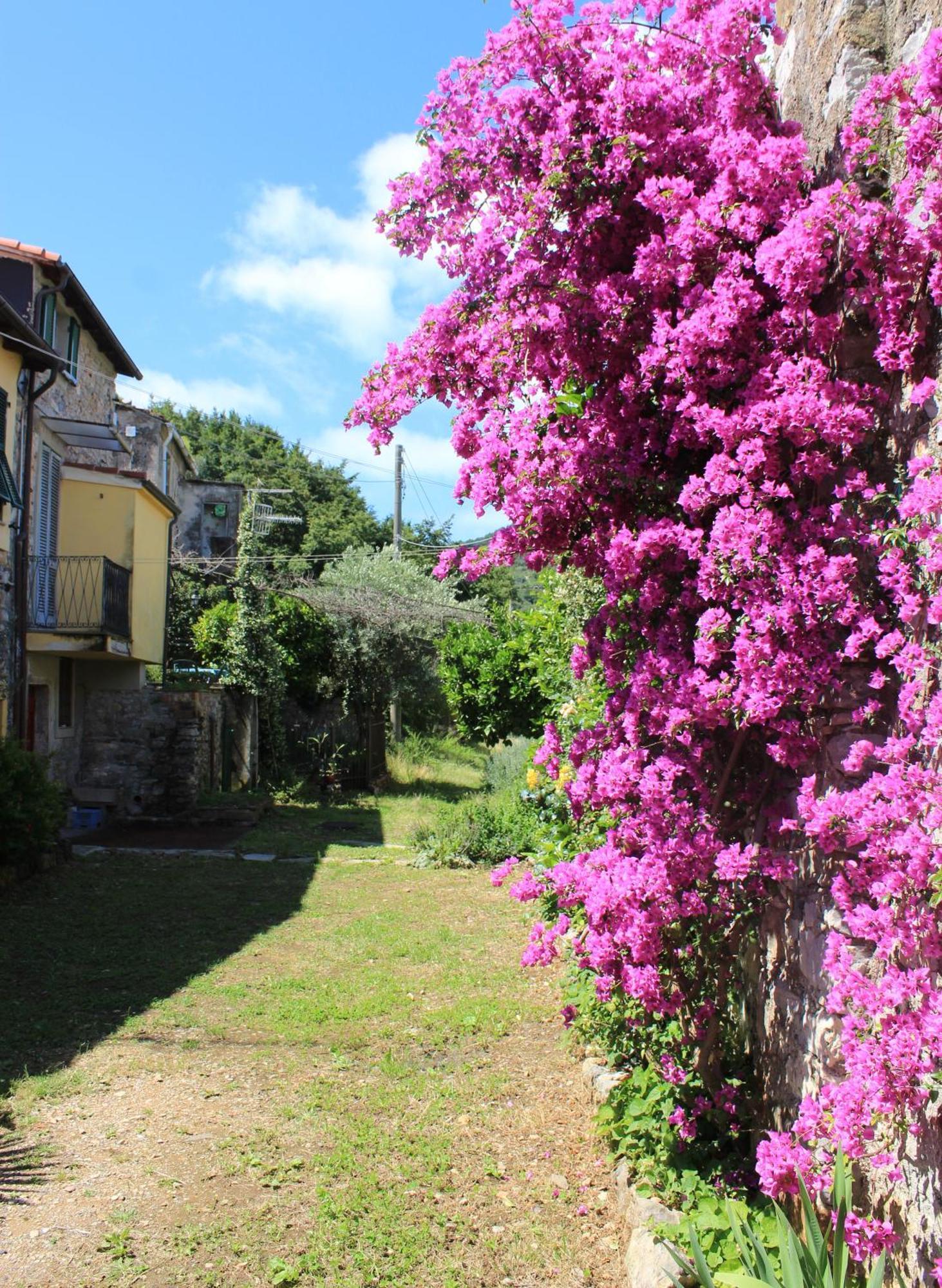 Verdemare E Verdementa Bed & Breakfast
